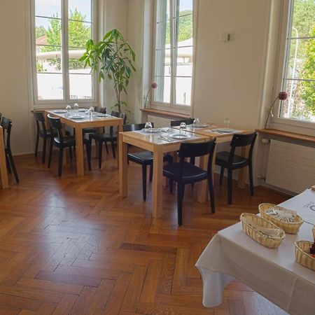 Guest House Dieci Allo Zoo Zurich Luaran gambar