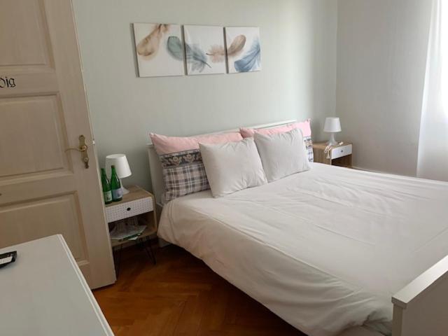 Guest House Dieci Allo Zoo Zurich Luaran gambar