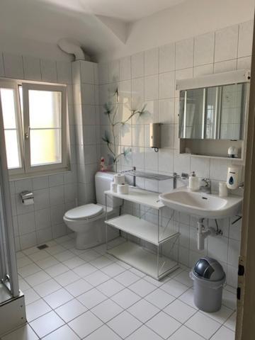 Guest House Dieci Allo Zoo Zurich Luaran gambar